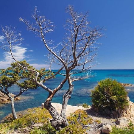 Villa Vera Trifamigliare Con Ingresso Diretto 20 Mt Al Mare Clima Wi-Fi Bbq Cala Liberotto Zewnętrze zdjęcie