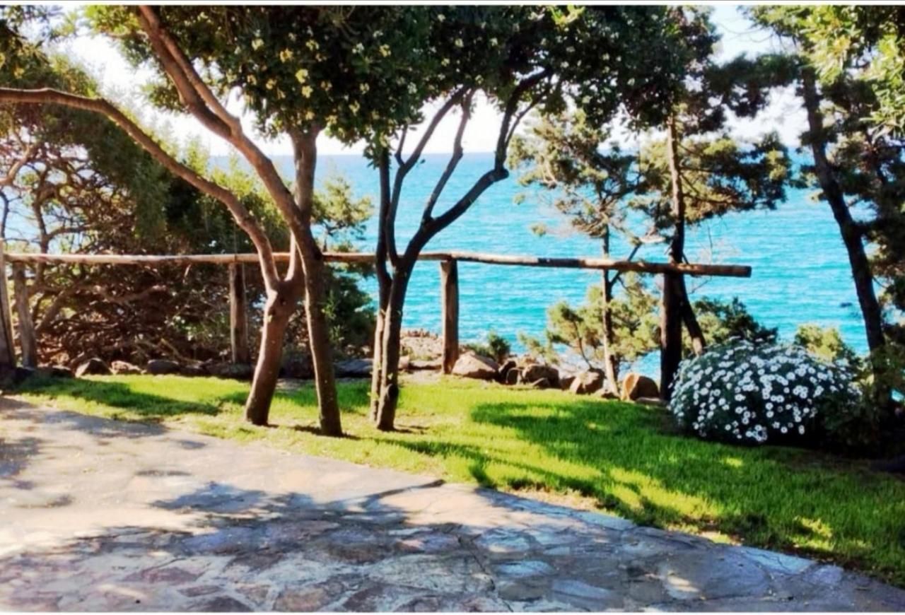 Villa Vera Trifamigliare Con Ingresso Diretto 20 Mt Al Mare Clima Wi-Fi Bbq Cala Liberotto Zewnętrze zdjęcie