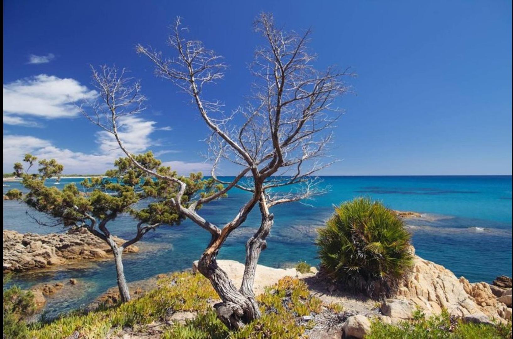 Villa Vera Trifamigliare Con Ingresso Diretto 20 Mt Al Mare Clima Wi-Fi Bbq Cala Liberotto Zewnętrze zdjęcie